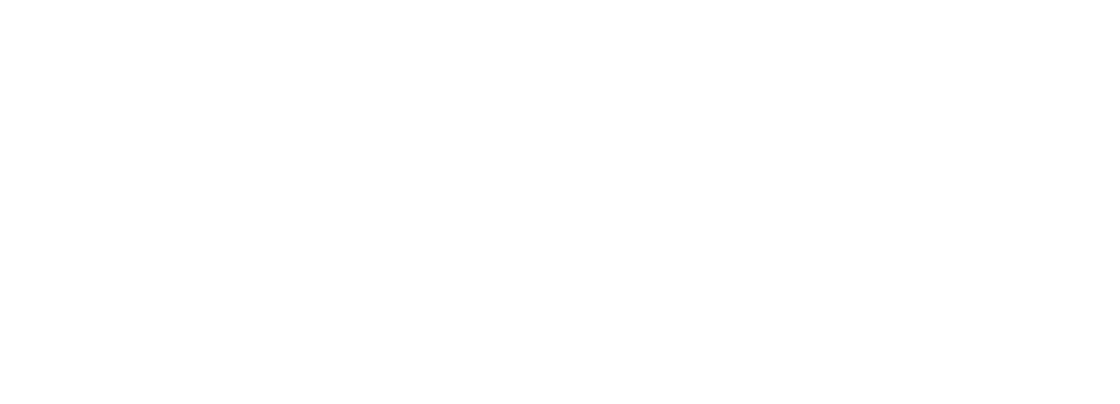 logo - Rostin Ventures - white